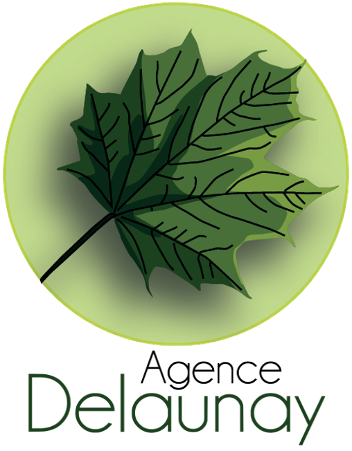 avatar/Logo-delaunay.png